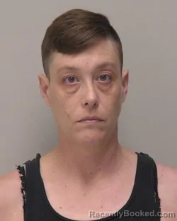 Mugshot of Gina Dominique Howell booked in Hancock County, Ohio on April 3, 2026