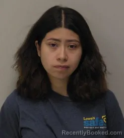 Booking photo from Hancock County, Ohio