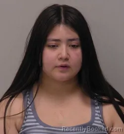 Mugshot of Marilee Aurelia Fernandez booked in Hancock County, Ohio on April 10, 2026