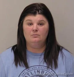 Mugshot of Nicole Sue Peace booked in Hancock County, Ohio on April 24, 2026