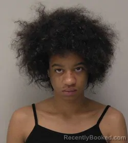 Mugshot of Alissa Renee Thornton booked in Hancock County, Ohio on April 28, 2026