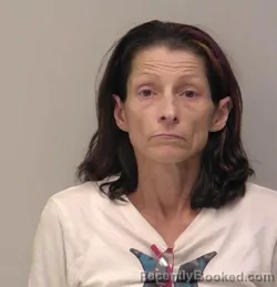 Mugshot of Heidi Sha Gonzalez booked in Hancock County, Ohio on May 6, 2026