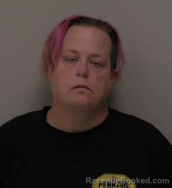 Mugshot of Jodie Lynn Fraley booked in Hancock County, Ohio on May 11, 2026