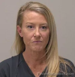 Mugshot of Monica Marie Schiltz booked in Hancock County, Ohio on June 4, 2026