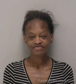 Mugshot of Deloris Katherine Burgess booked in Hancock County, Ohio on June 22, 2026