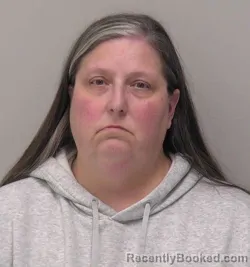 Mugshot of Rachel Lynne Cameron booked in Hancock County, Ohio on June 22, 2026