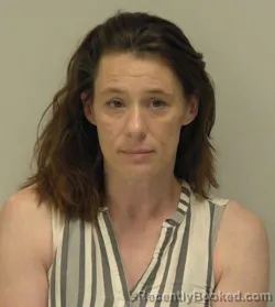 Mugshot of Lisa Ann Withers booked in Hancock County, Ohio on June 22, 2026
