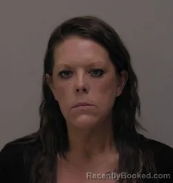 Mugshot of Lisa Marie Fisher booked in Hancock County, Ohio on June 26, 2026