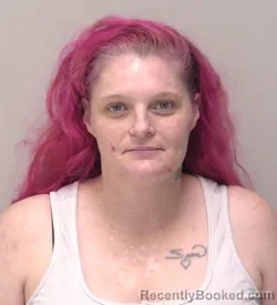 Mugshot of Tiffany Marie Warner booked in Hancock County, Ohio on June 30, 2026