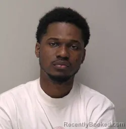 Mugshot of Wigrns Denizard booked in Hancock County, Ohio on July 5, 2026