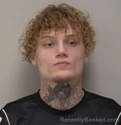 Mugshot of Cameron Richard Person booked in Hancock County, Ohio on July 29, 2026