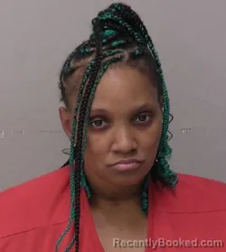 Mugshot of Danielle Renee Savage booked in Hancock County, Ohio on August 30, 2026