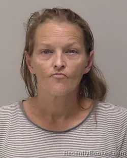 Mugshot of Sara Lynn Businger booked in Hancock County, Ohio on October 22, 2026