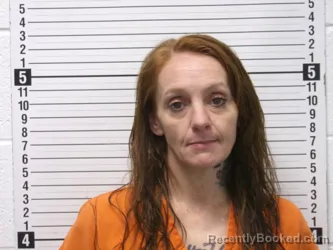 Mugshot of ERICA LYNN ELLIS booked in Hardin County, Ohio on May 9, 2026