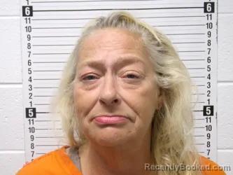 Mugshot of Cristi Lee Swinehart booked in Hardin County, Ohio on September 9, 2026