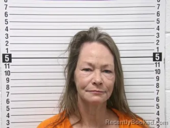 Mugshot of DEBORAH LYNN THIEL booked in Hardin County, Ohio on April 30, 2026