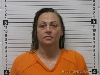 Mugshot of SUSAN LYNN BRADFORD booked in Hardin County, Ohio on May 26, 2026
