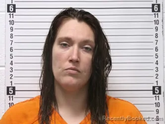 Mugshot of BRANDY MARIE FAY