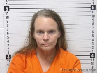 Mugshot of ANGEL MARIE DAMRON booked in Hardin County, Ohio on April 6, 2026