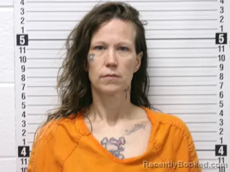 Mugshot of SHAWNA DANIELLE POWELL booked in Hardin County, Ohio on July 8, 2026