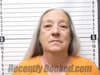 Booking photo from Hardin County, Ohio