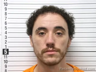 Mugshot of TRENTON AUSTIN MCLELLAN REED booked in Hardin County, Ohio on March 17, 2026