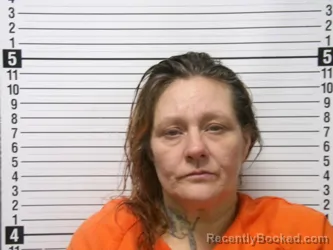 Booking photo from Hardin County, Ohio