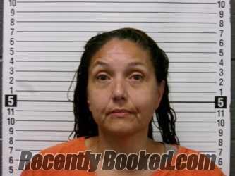 Booking photo from Hardin County, Ohio