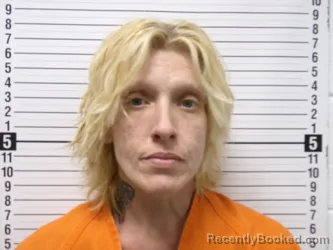 Mugshot of SHAUNA ELIZABETH HAMILTON booked in Hardin County, Ohio on March 20, 2026