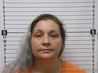 Mugshot of JESSICA ROSE NORRED booked in Hardin County, Ohio on April 1, 2026