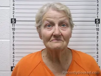 Mugshot of KARYL LYNN GRAY-MICHAEL booked in Hardin County, Ohio on April 24, 2026