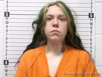 Mugshot of ALAINA MARIAH ADAMS booked in Hardin County, Ohio on April 23, 2026