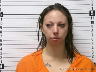 Booking photo from Hardin County, Ohio