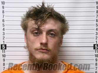 Booking photo from Hardin County, Ohio
