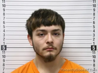 Mugshot of SEAN MICHAEL MCADAMS booked in Hardin County, Ohio on April 22, 2026