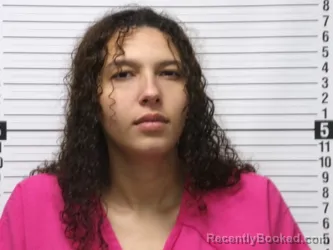 Booking photo from Hardin County, Ohio