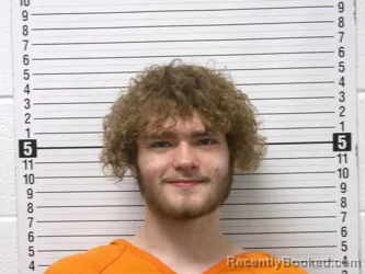 Mugshot of JEREMY ALLEN ELWOOD booked in Hardin County, Ohio on June 30, 2026