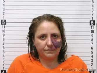 Mugshot of CHERYL L DAVIS