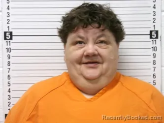 Mugshot of DIANNA LYNN VREELAND booked in Hardin County, Ohio on March 24, 2026