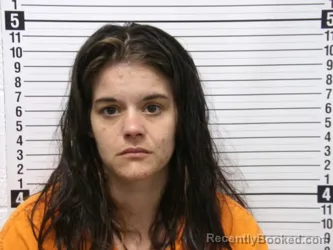 Mugshot of ASHLEY NICOLE CARVER booked in Hardin County, Ohio on March 29, 2026