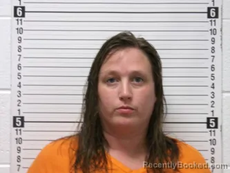 Mugshot of BRITTANY LOGAN RIES booked in Hardin County, Ohio on April 21, 2026