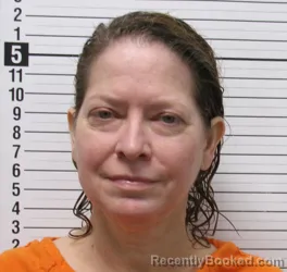 Mugshot of KAREN DENISE TISDELL booked in Hardin County, Ohio on July 29, 2026