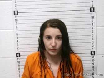 Mugshot of Sidney Leigh Ann Oglesbee booked in Hardin County, Ohio on August 8, 2026