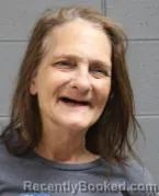 Mugshot of LISA LOUISE REDMAN
