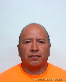 Booking photo from Suwannee County, Florida