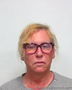 Mugshot of JULIE LYNNE DAVIS