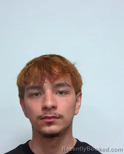 Mugshot of DIEGO REY HERNANDEZ