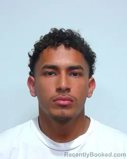 Mugshot of LUIS ANGEL CANALES OLVERA booked in Suwannee County, Florida on March 17, 2026