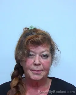 Mugshot of ROBBIN TRACY PYLES booked in Suwannee County, Florida on March 18, 2026