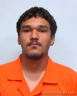 Mugshot of STEVEN LEE VERDE JO-ORTIZ booked in Suwannee County, Florida on March 20, 2026